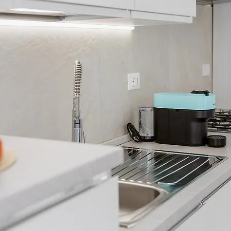 Paradise House - Shell * Noli