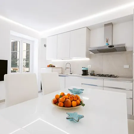 Paradise House - Shell