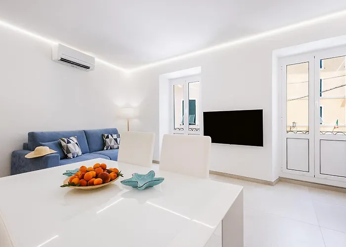 Paradise House - Shell * Noli