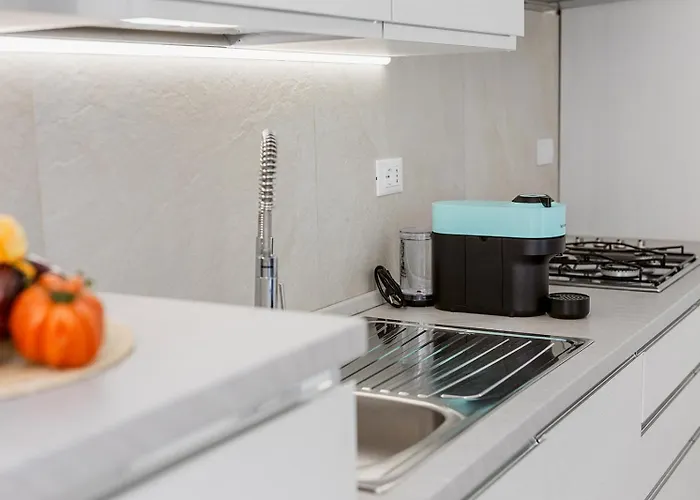 Paradise House - Shell * Noli