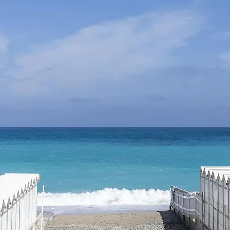 Paradise House - Shell
