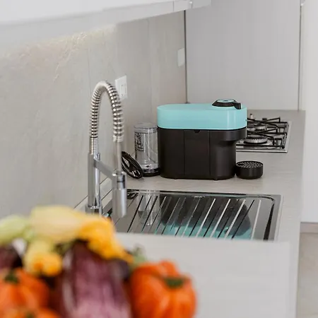 Paradise House - Shell