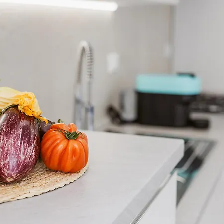 Paradise House - Shell Apartment Noli