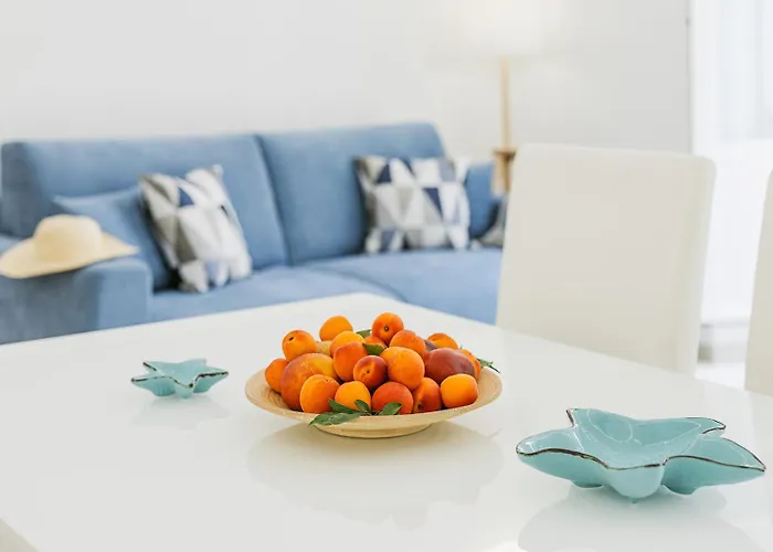 Paradise House - Shell