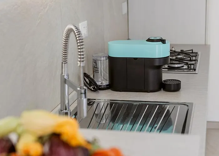 Paradise House - Shell